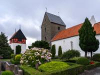 Hortensienbusch am Friedhof mit altem und neuem Glockenturm der Rutsker Kirche - Rutsker